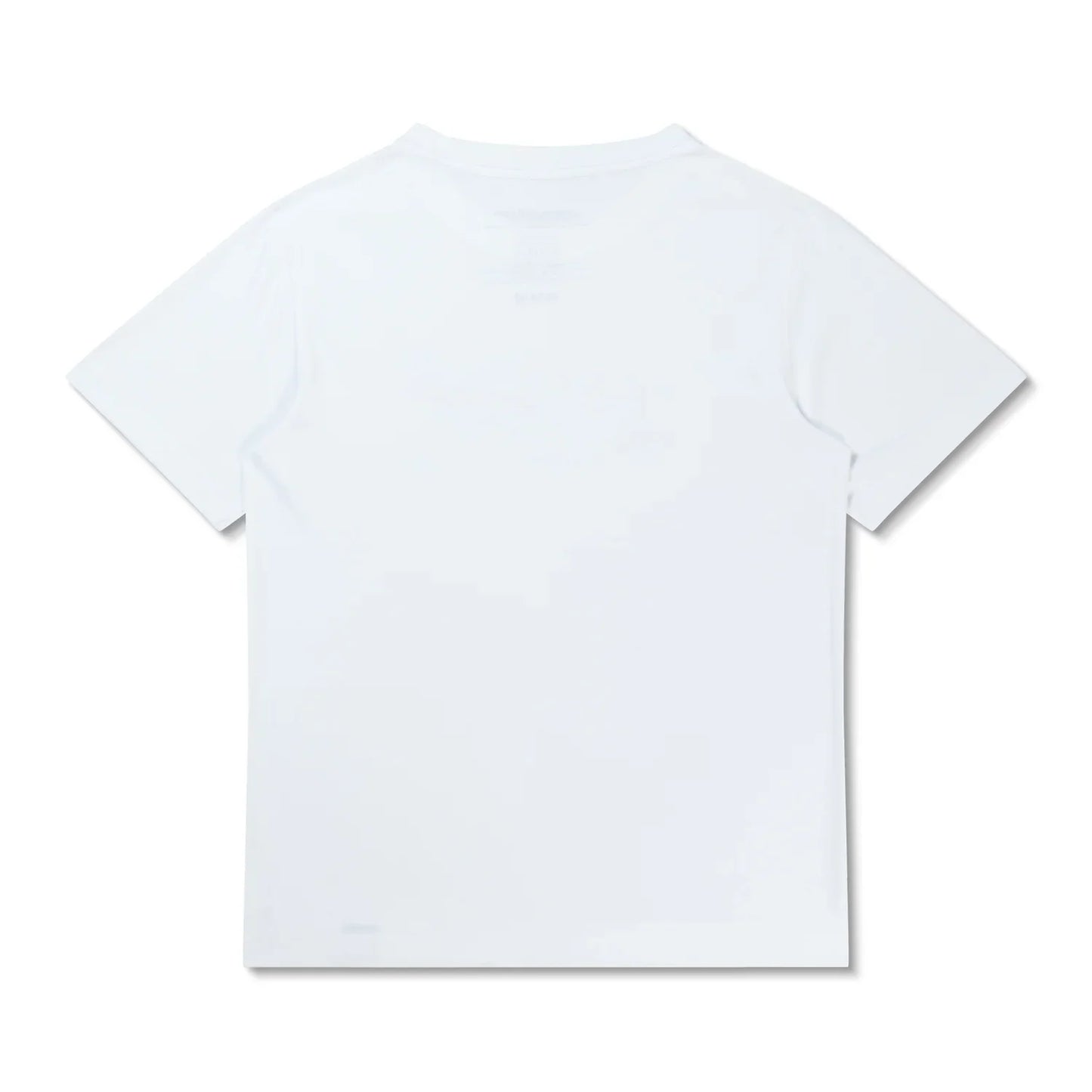 Speedo Graphic Short Sleeve Swim Shirt