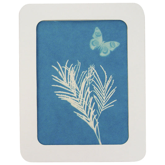 TOYSMITH- Nature & Gardening - Solar Print Kit