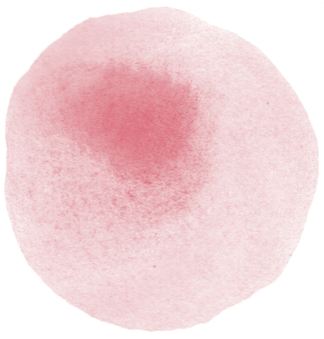 Shupatto Bag - One-Pull Foldable Bag - Momo (Medium)