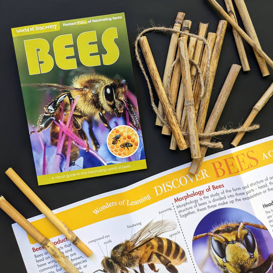 Robert Frederick - World Of Discovery Box Set - Bees