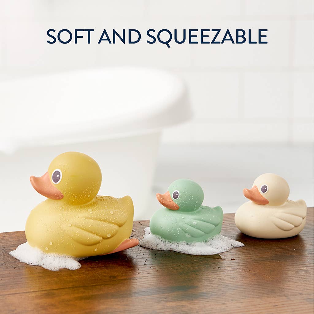 Itzy Ritzy - Itzy Ducky Family