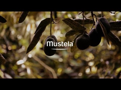 Mustela Hydra Baby Face Cream with ORGANIC Avocado