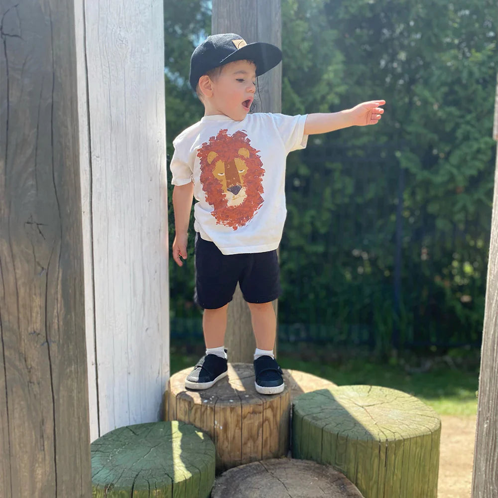 Where to Buy Stonz in the USA (and Why US Parents Love This Canadian Brand)