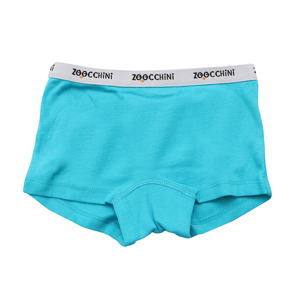 Zoocchini - Kids Organic Hipster Shorts - 3Pc Set - Flower Power