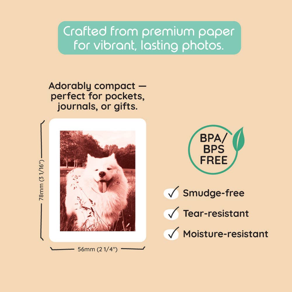 kiimento - Print Pack 120 Prints | For Model P2