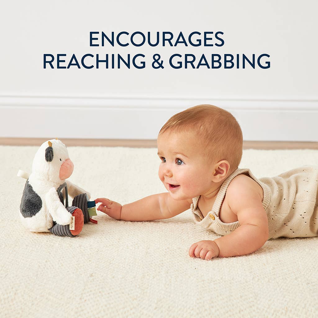 Itzy Ritzy - Itzy Bitzy Mirror Sensory Toy