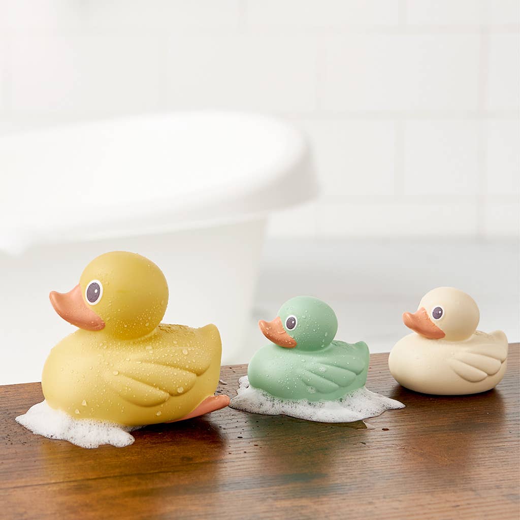 Itzy Ritzy - Itzy Ducky Family
