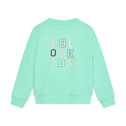Color Kids - Color Block Logo Pullover Sweater