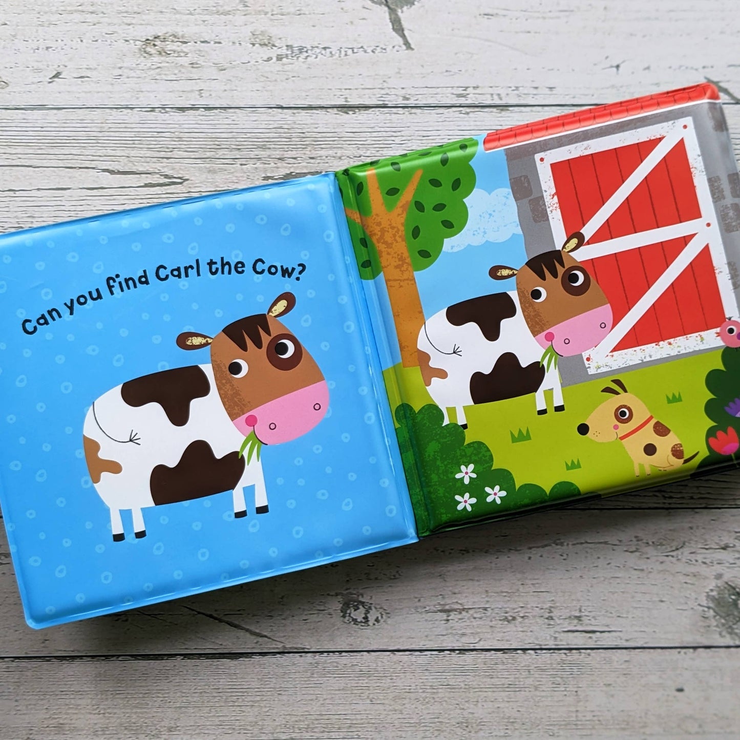 Robert Frederick Ltd - Bathtime Buddy Book - Farm