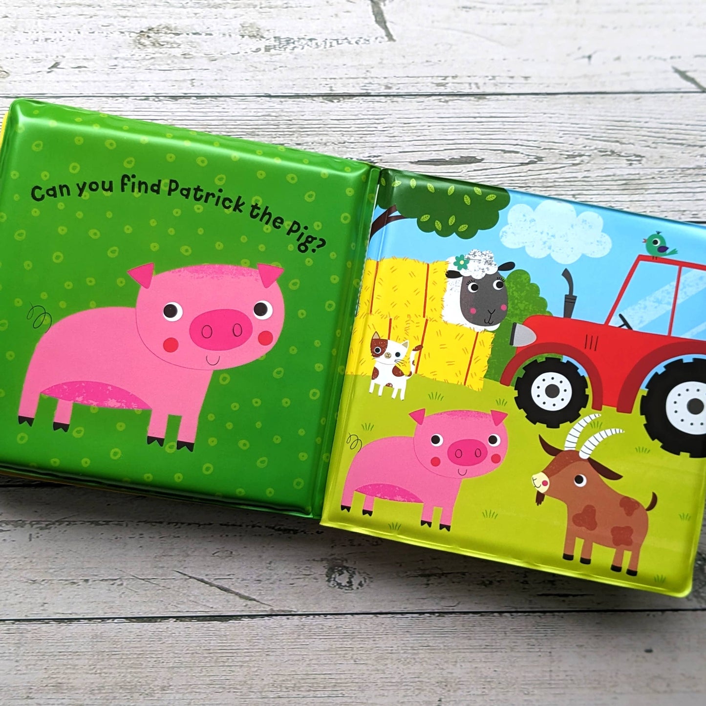 Robert Frederick Ltd - Bathtime Buddy Book - Farm