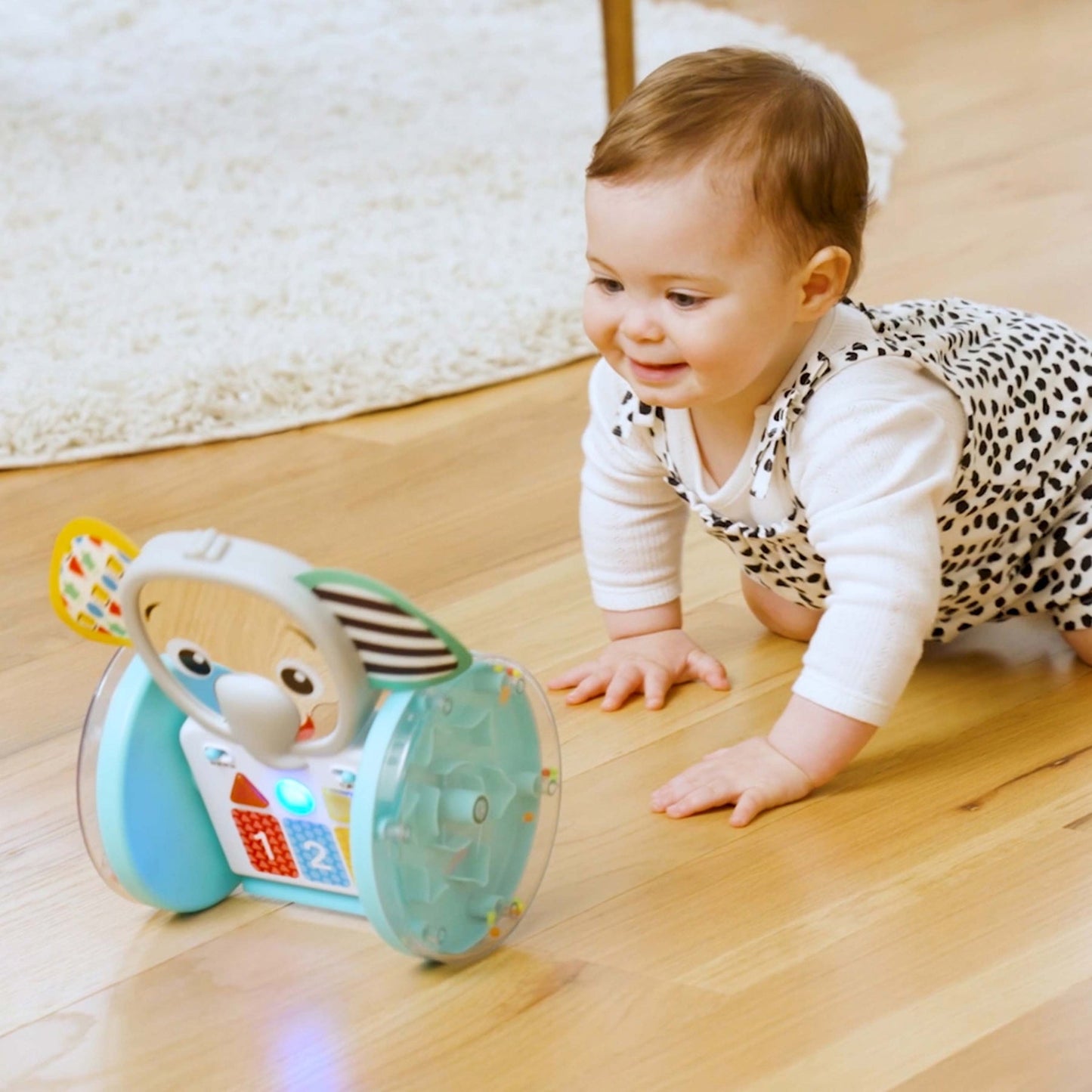 BABY EINSTEIN - Chase + Tap Earl Interactive Crawling Toy