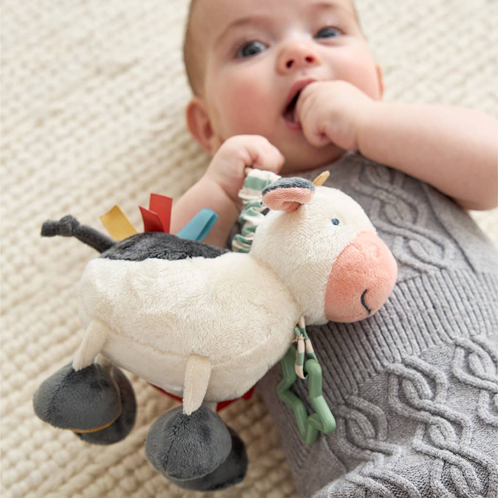 baby toy caw 2
