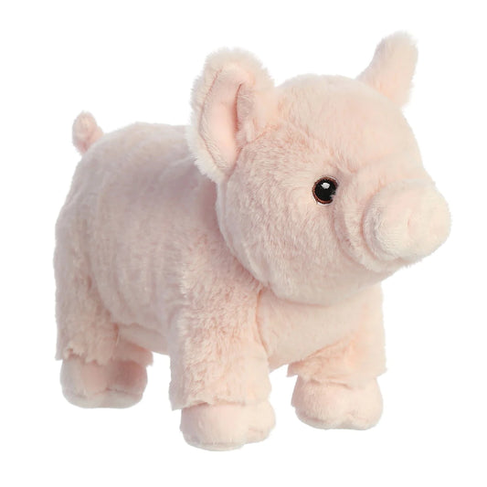 Eco Nation Pig