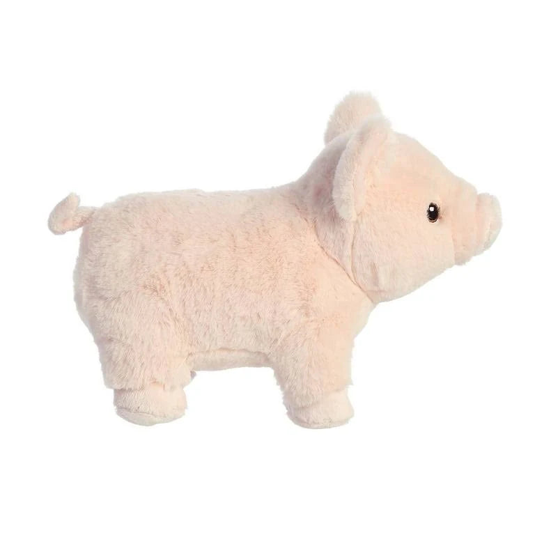 Eco Nation Pig